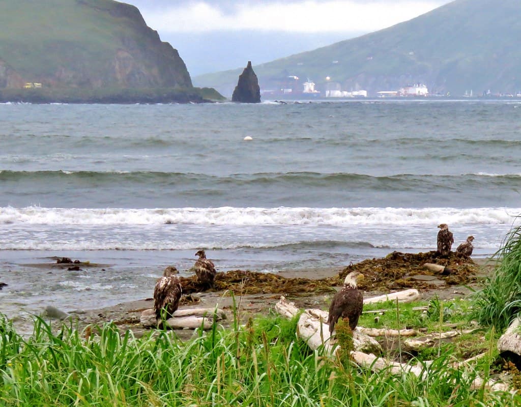 Eagle Cove Beach view 2