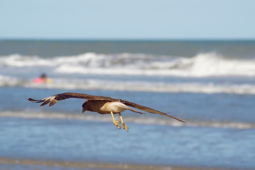 Playa Valeria del Mar