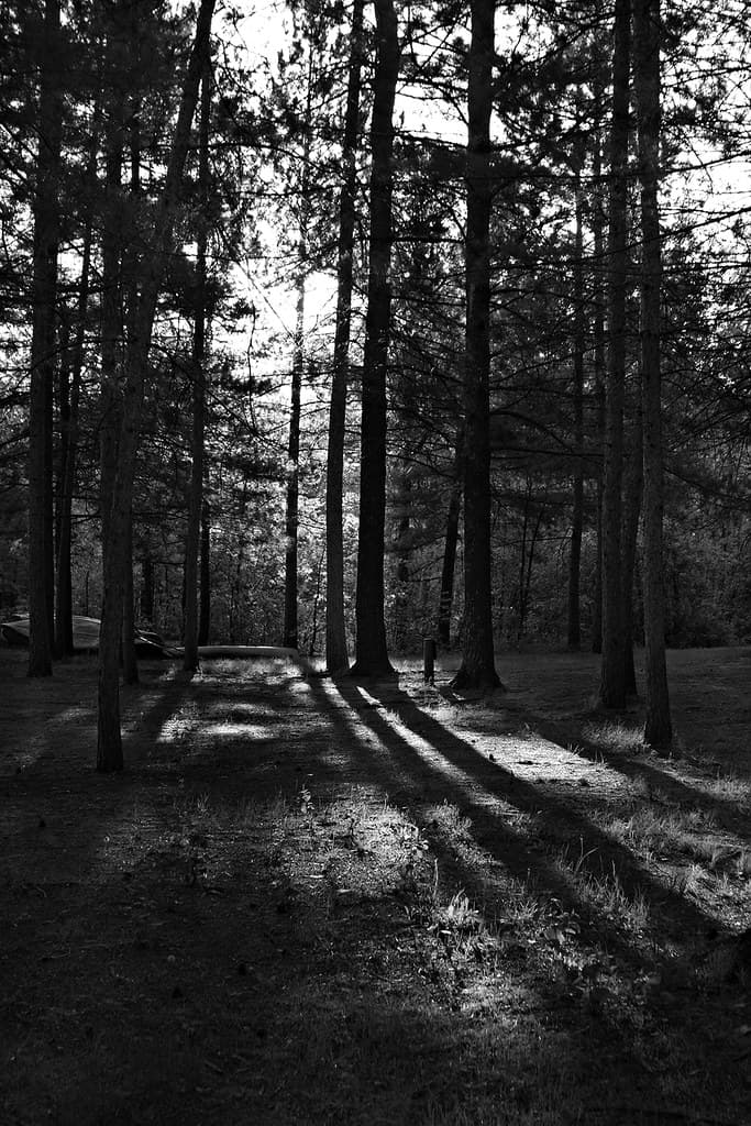 Crow Wing B&W