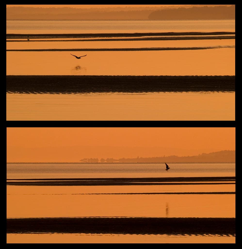 Approach / Landing