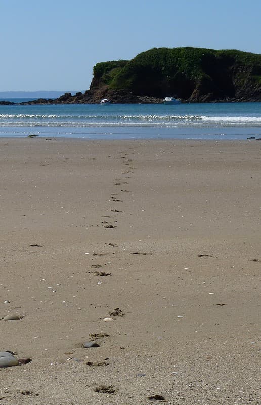 footsteps