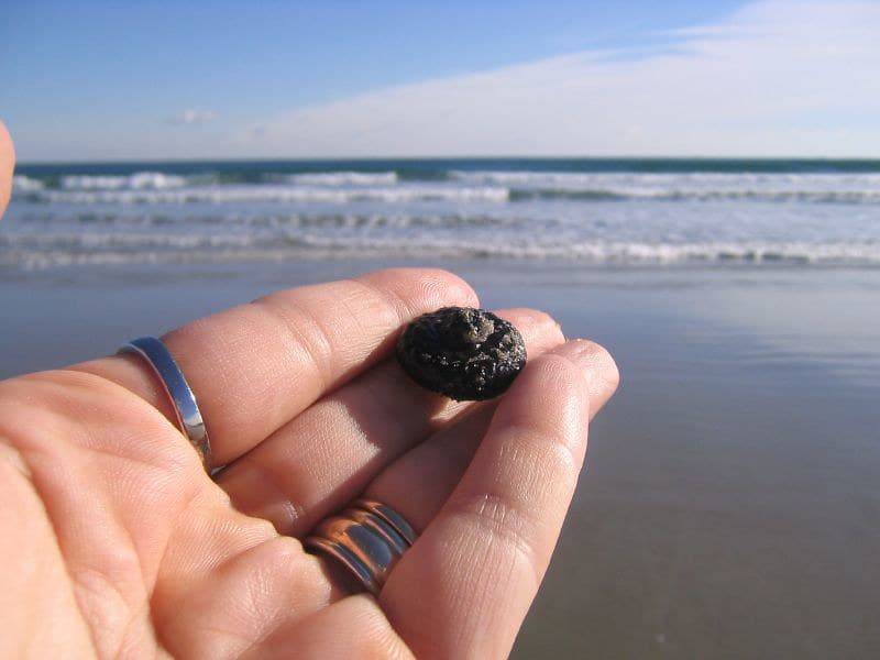 Acorn cap, beach in Ogunquit, Maine
