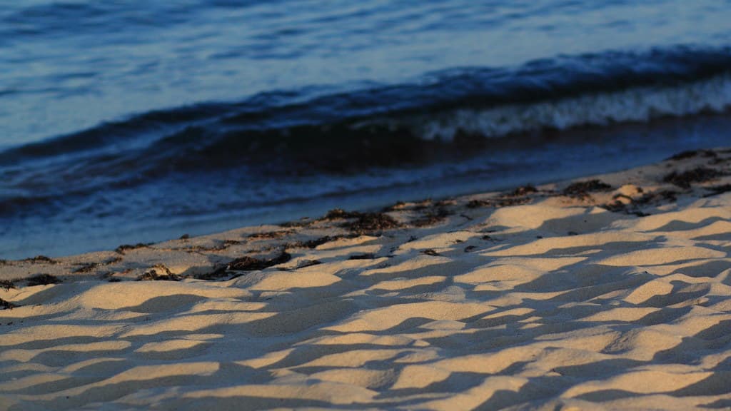 Vitemölla Beach — photo by Ulf Bodin