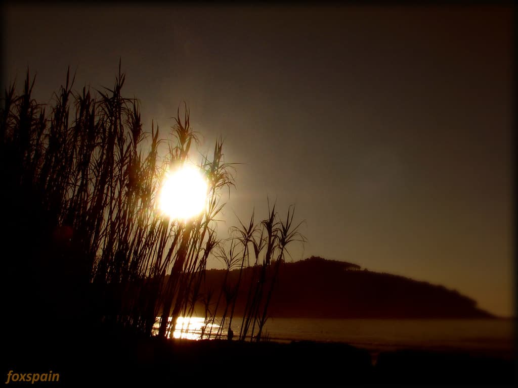 Playa Los Patos