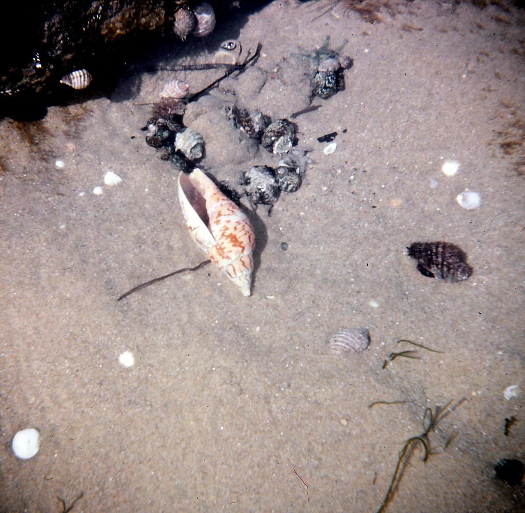 1980 - 126 Slide Scan (Lake Tyers)