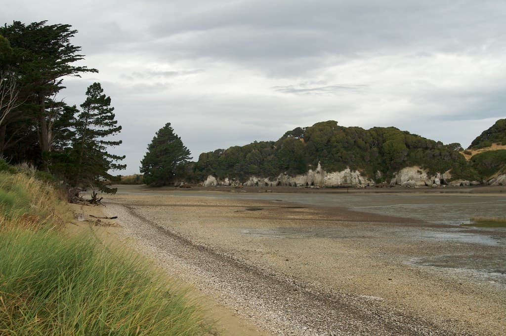 Pakawau Beach — photo by Aaron Jacobs