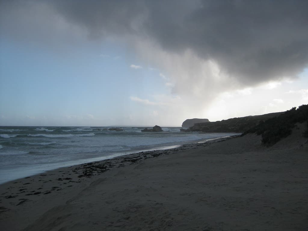 Seal Bay Wildlife Sanctuary