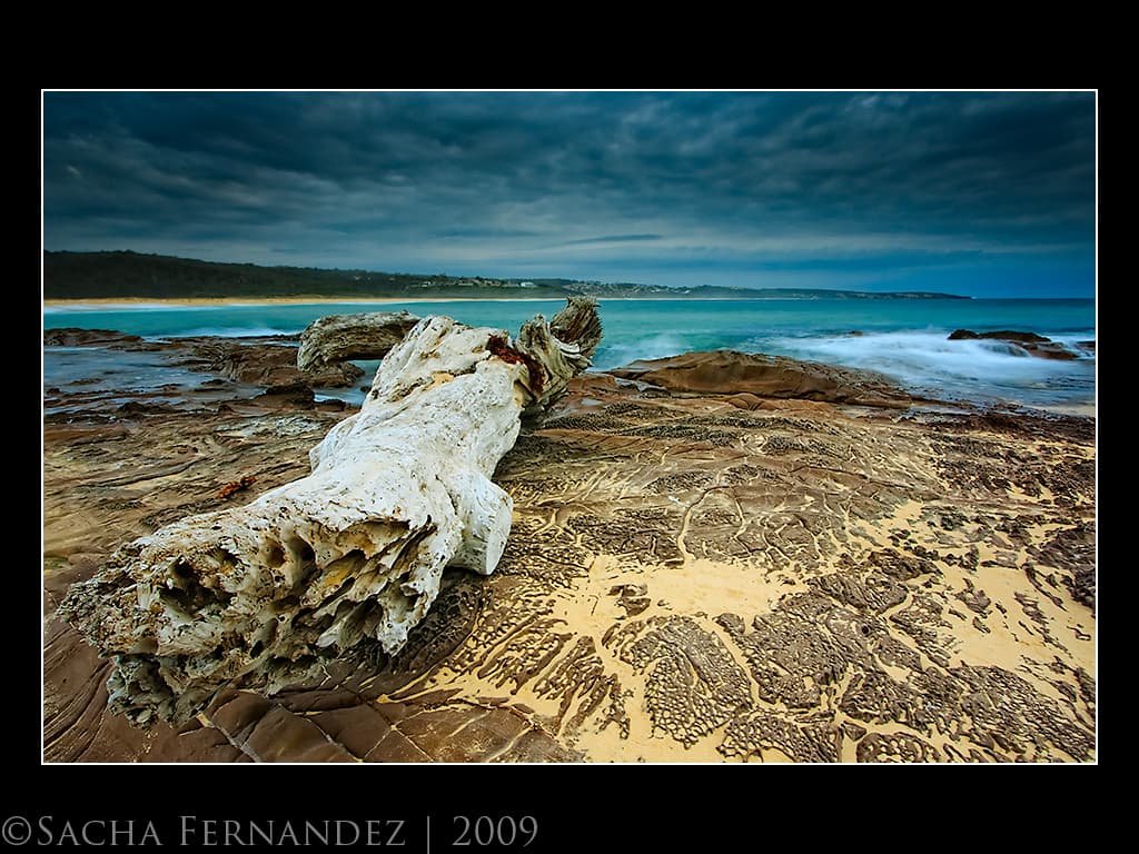 Merimbula Beach timberrrrr!