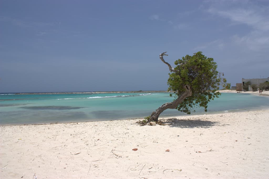 Bachelor’s Beach South Cove — photo by Andre Aguiar