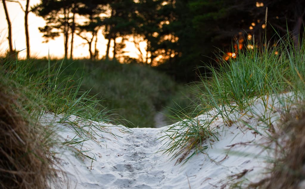 Sandhammaren Beach — photo by Ulf Bodin