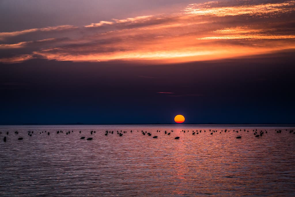 Bagno Ferroviario Beach — photo by https://www.facebook.com/robertotaddeofoto28