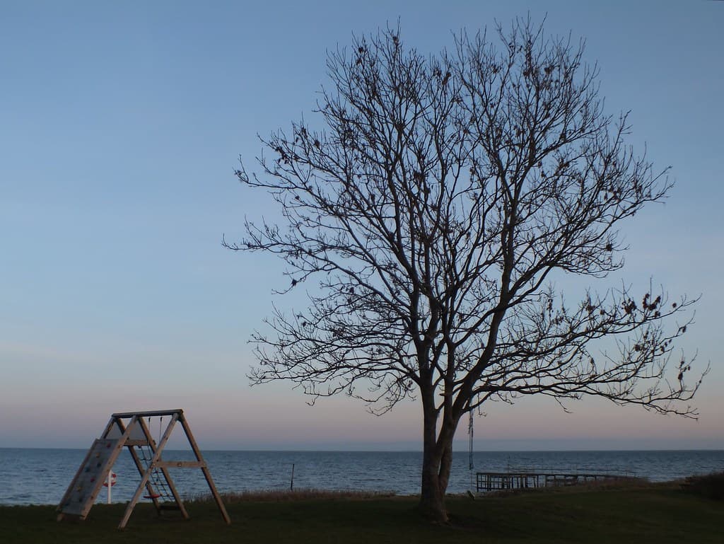 Bøsøre Beach