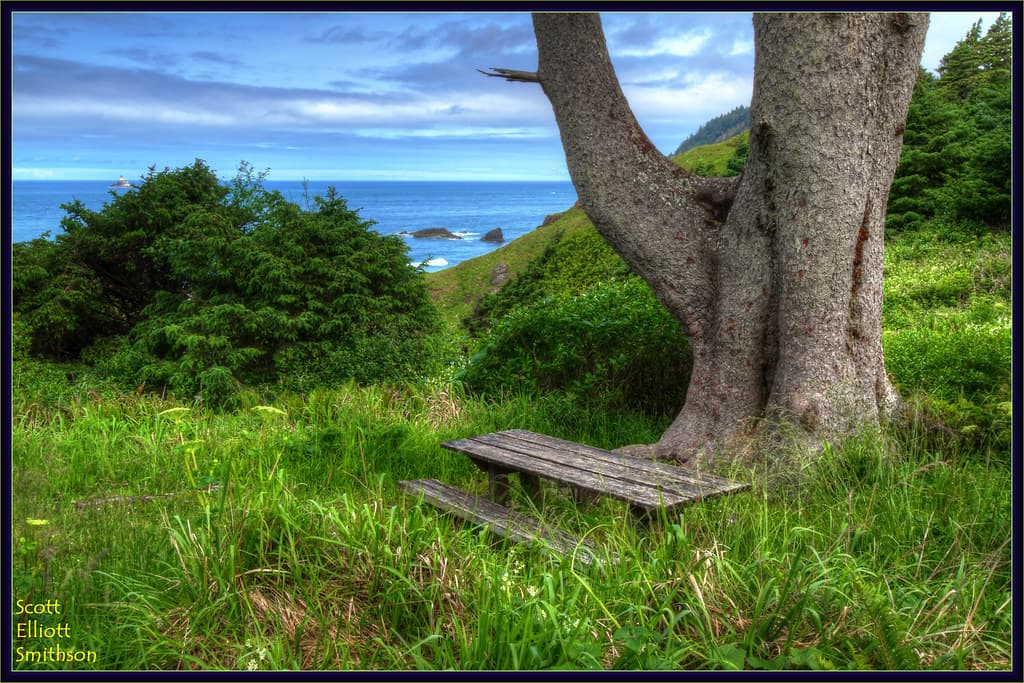 On the Bluff