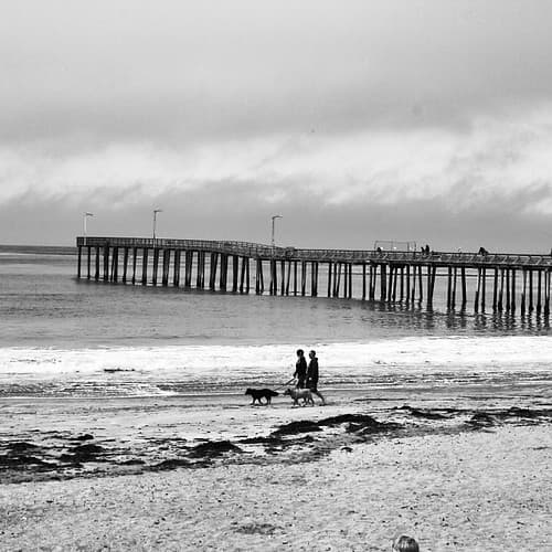 #morro #bay #pier #muelle #embarcadero #paseo #playa #beach #california #usa #viajes #igrecommend #picoftheday #fotodeldia #photooftheday #blancoynegro