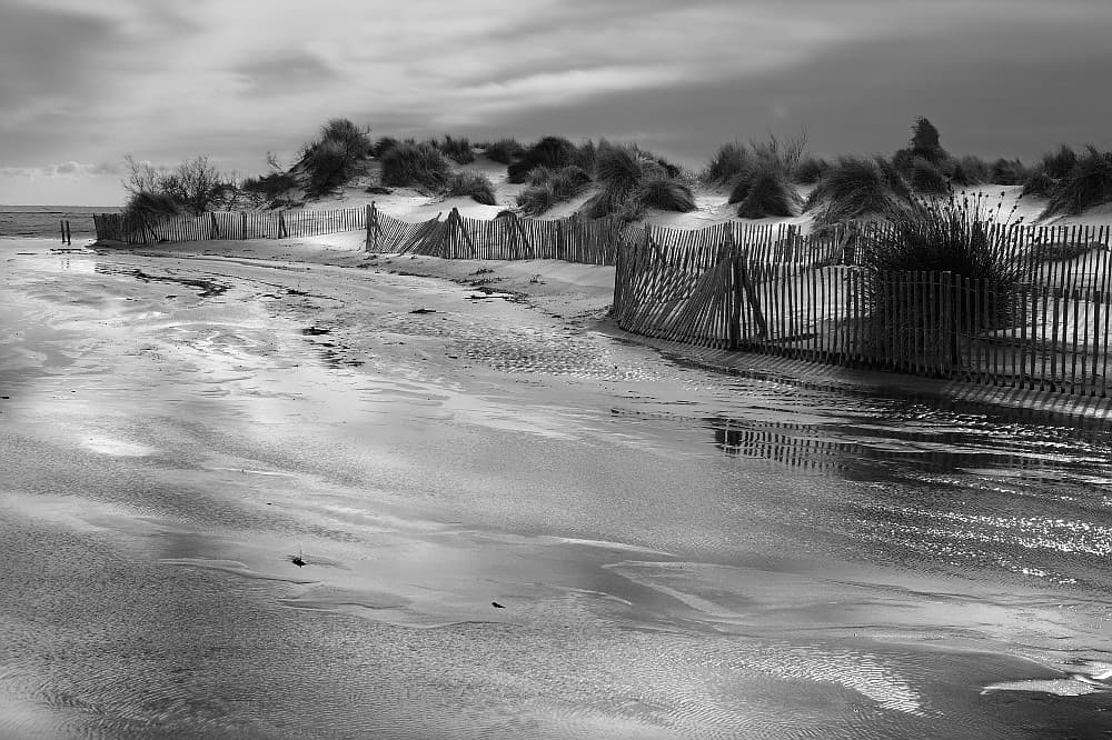 Camargue - Dunes des Saintes Maries De La Mer