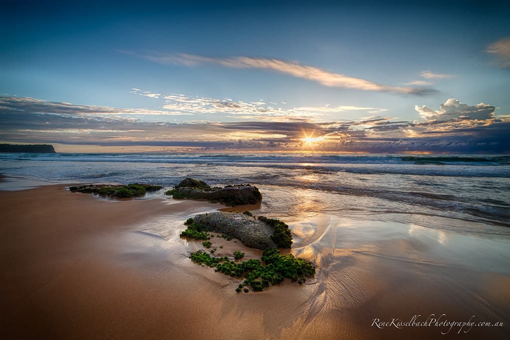 Glorious Warriewood