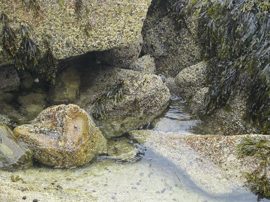 Birch Point State Park Beach
