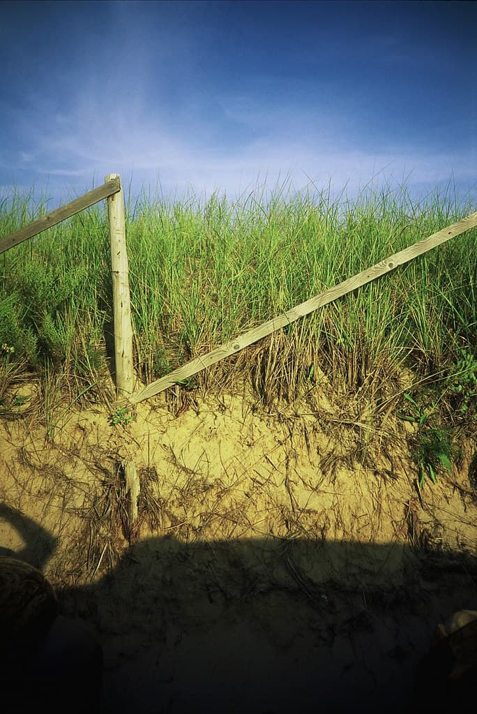 Dune Fence