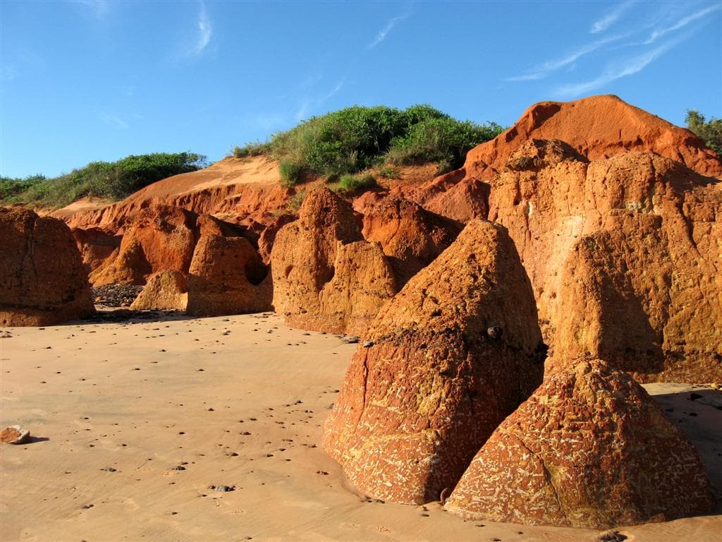 Riddell Beach