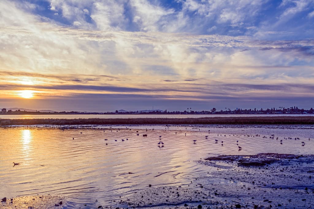 Golden Sunset on the Bay