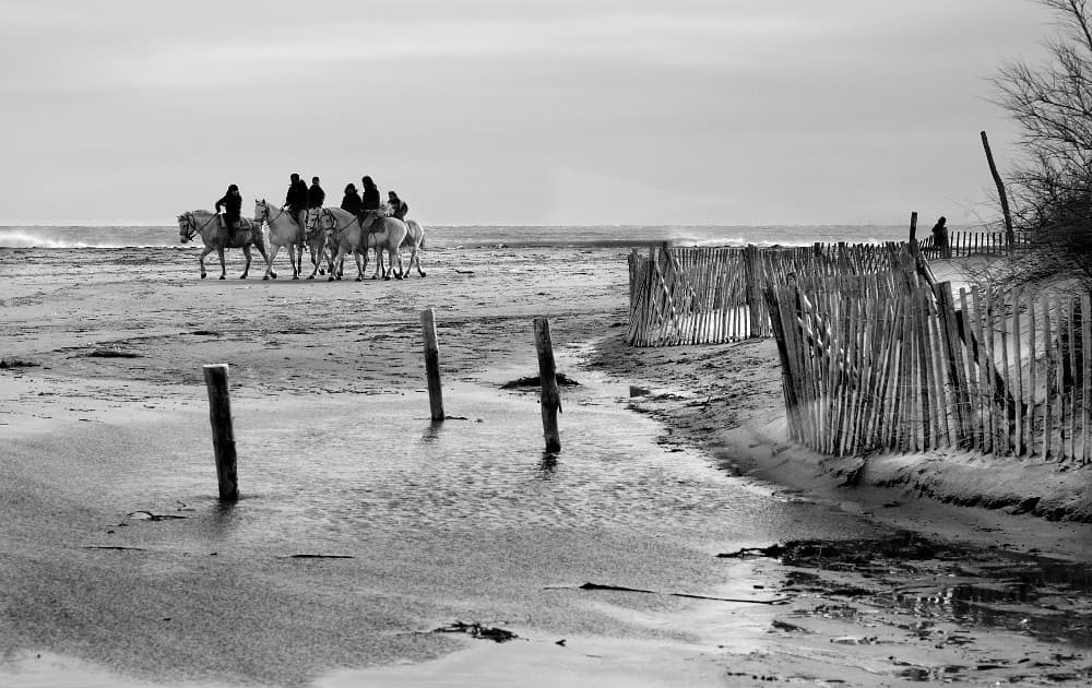 Camargue - Plage des Saintes Maries De La Mer
