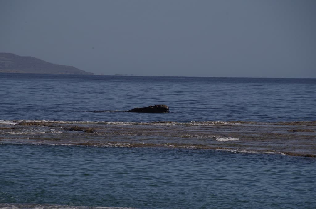 imgp9454