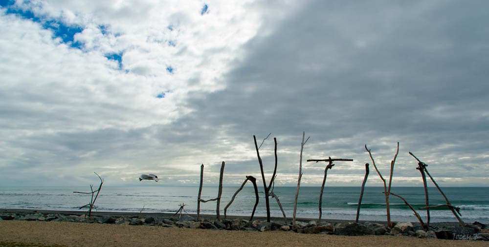 Blue Spur Beach — photo by Jocey K