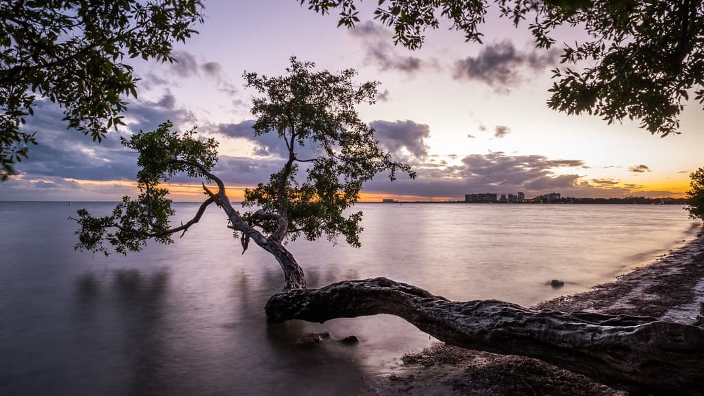 Sand Key Beach