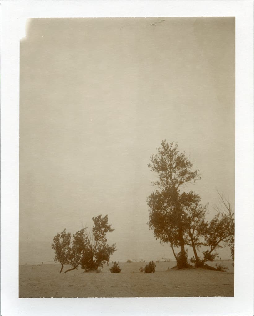 Sawyer, MI