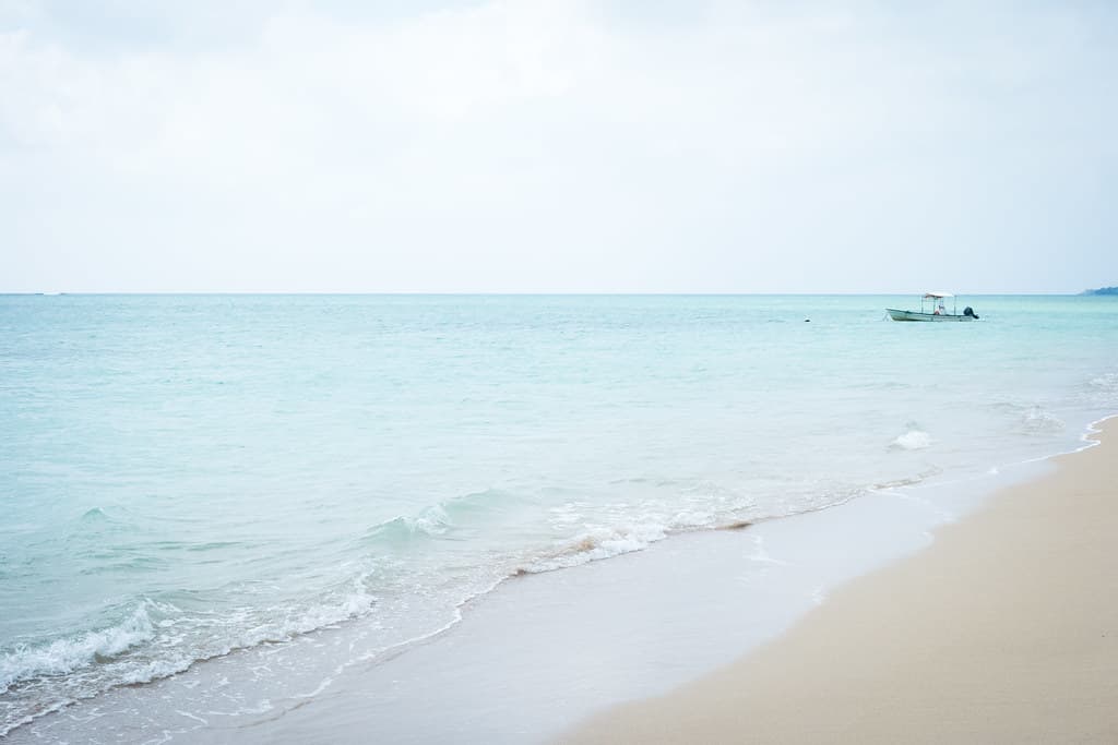 21st Century Forest Beach — photo by [cipher]