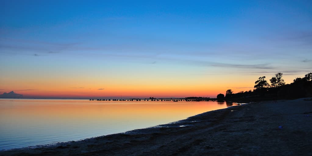 Vikhög Beach
