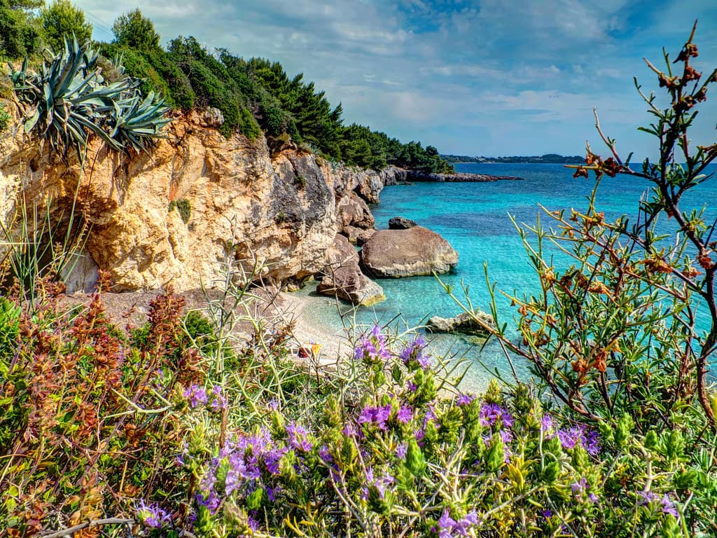 Petani Beach