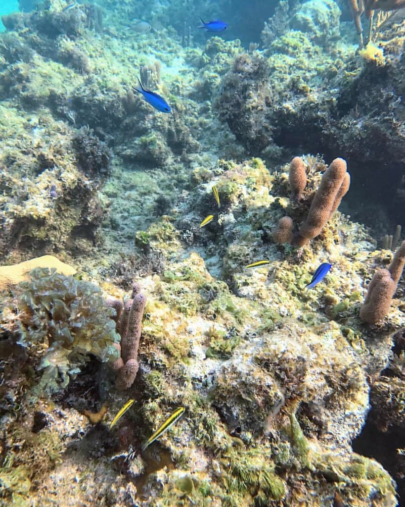 Columbus Cove