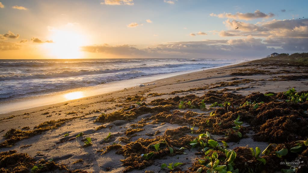 Stuart Beach