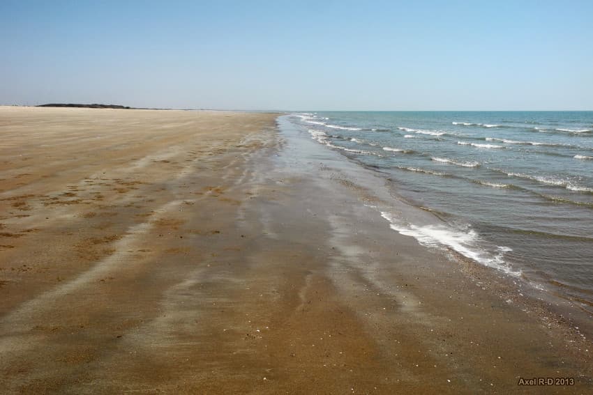 Mandvi Wind Farm Beach