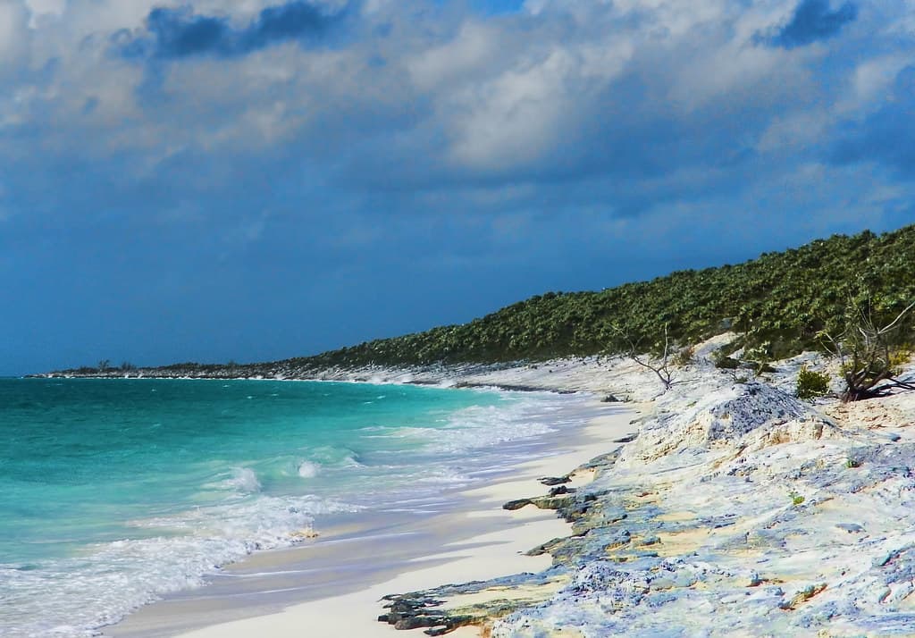 Alligator Point Beach
