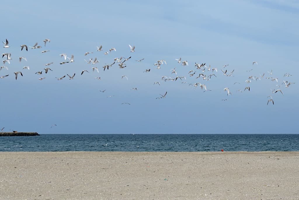 Plaja Olimp Nord