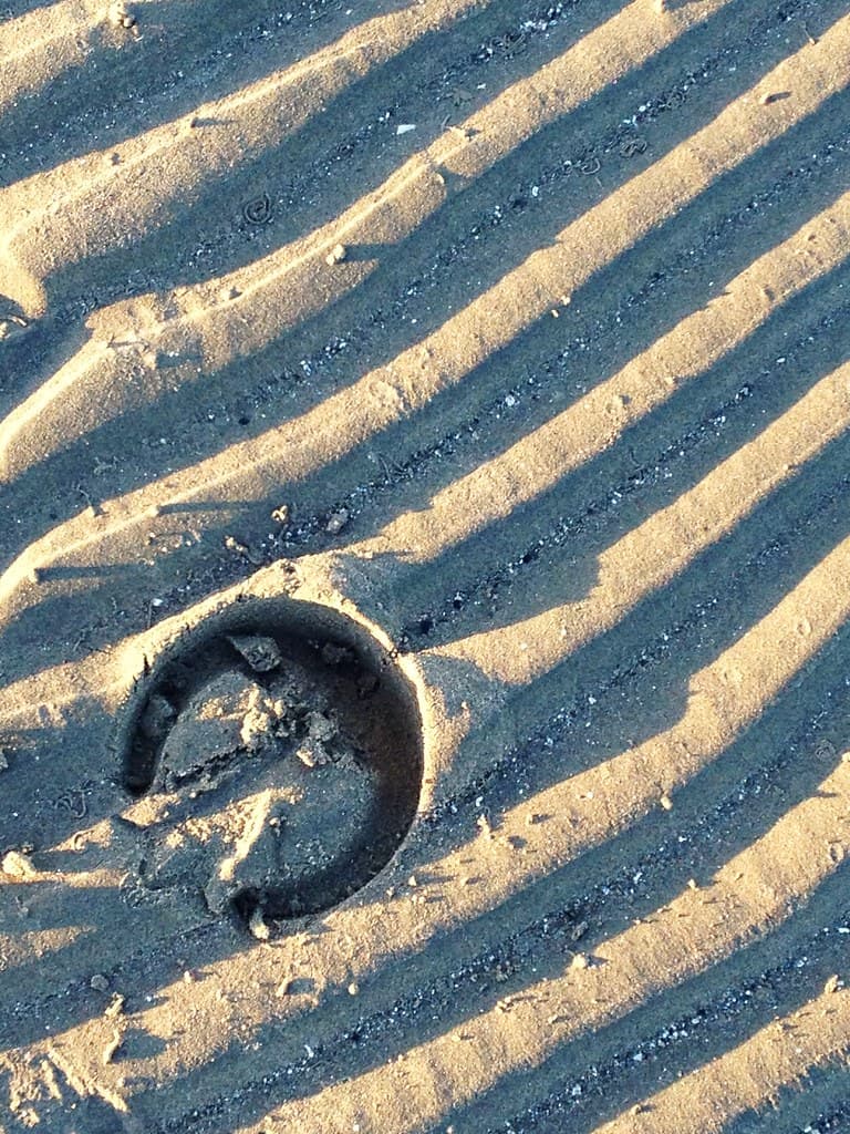 Croy Beach — photo by alyssaBLACK.