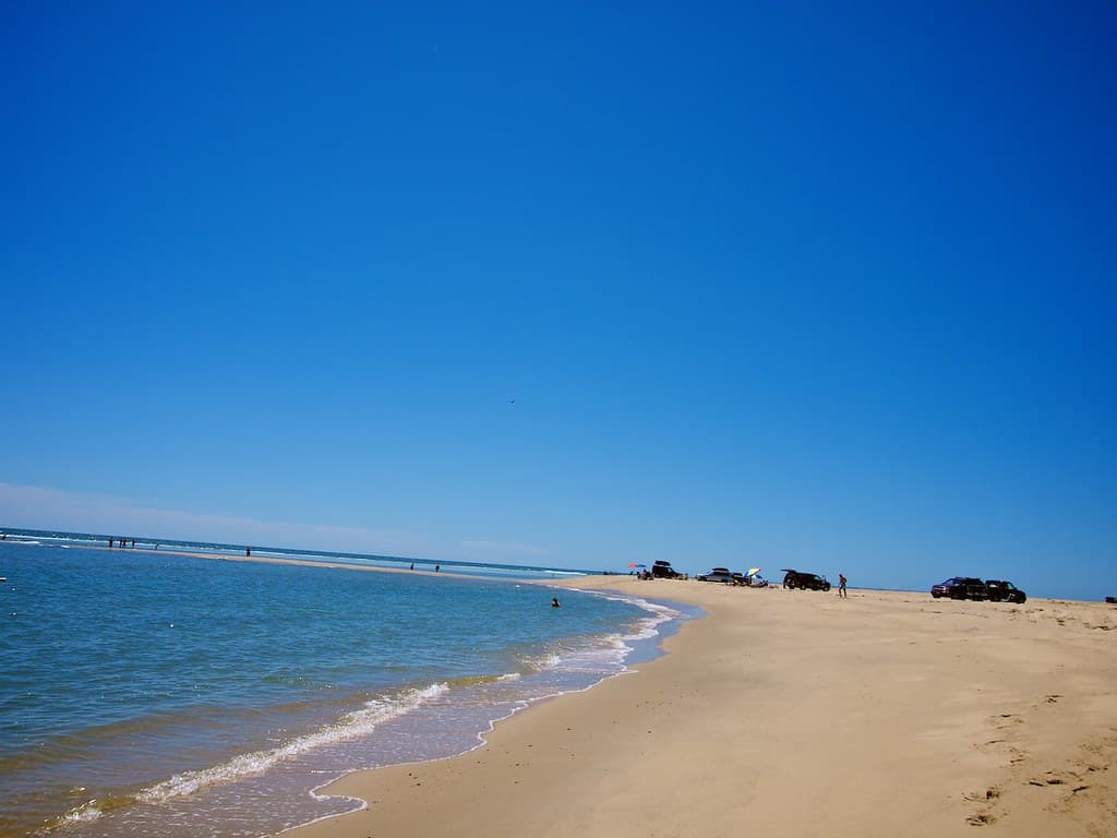 Beach Buggies