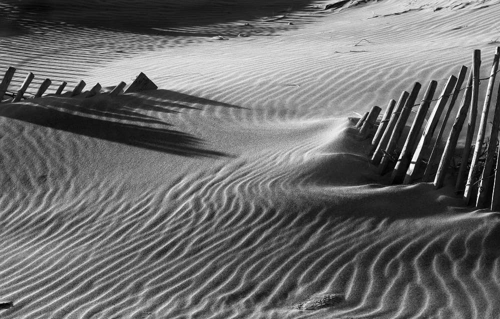 Camargue - Dune des Saintes Maries De La Mer