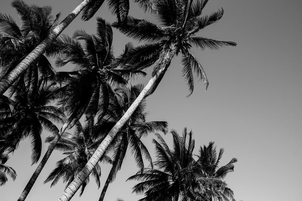Playa Bocana El Icacal — photo by Milton Parada Campos