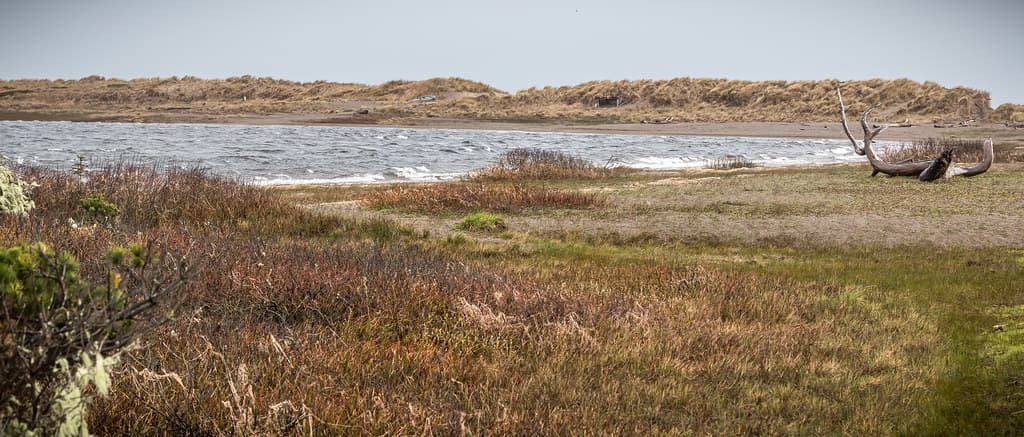 Floras Lake
