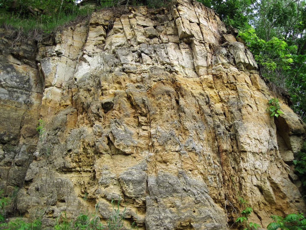 Quartzose sandstones (Jordan Sandstone, Upper Cambrian; roadcut on the northern side of Stillwater, Minnesota, USA) 10