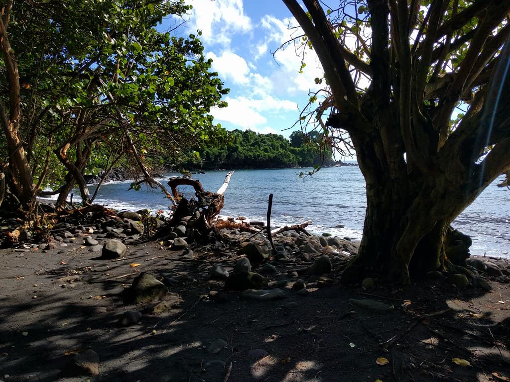 Anse Turlet — photo by Guacamoliest