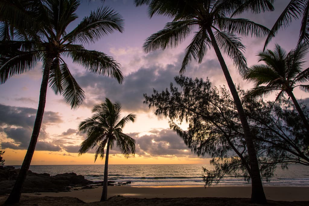 Tropical paradise