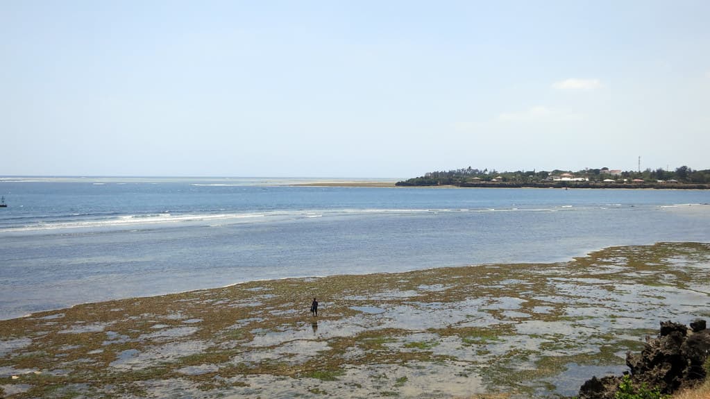 Mwakirunge Beach — photo by andysternberg
