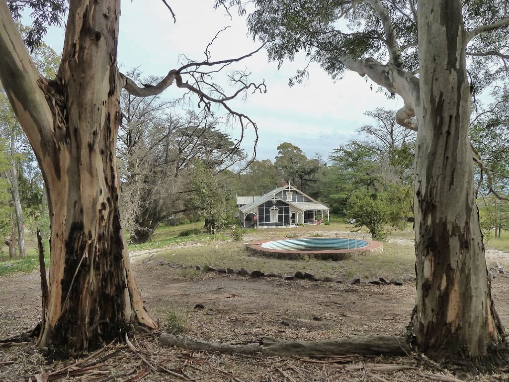 El bosque