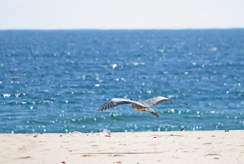 Alepu Beach — photo by katunchik