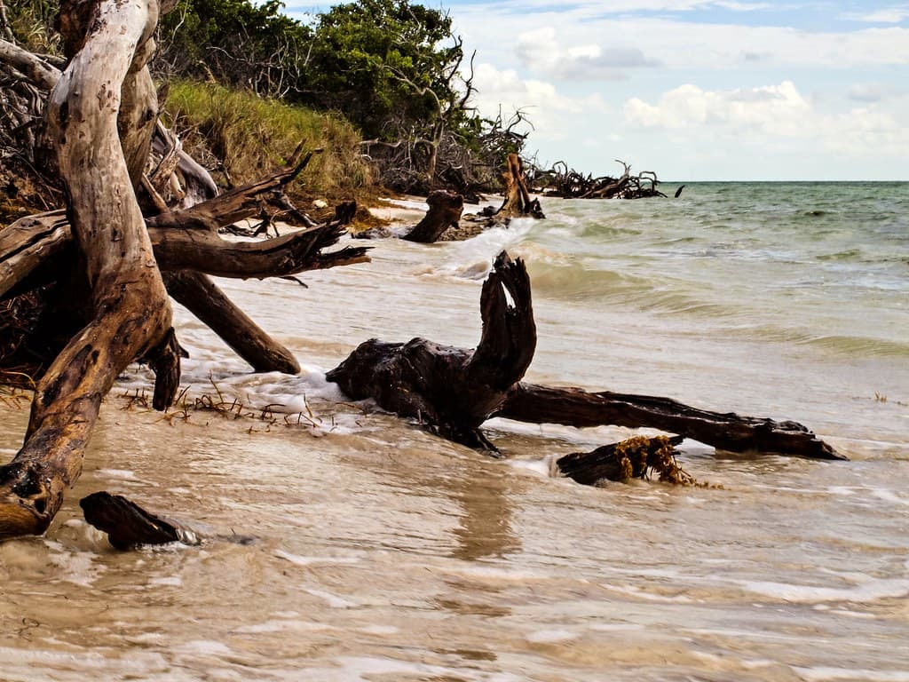 Shifting Shoreline: Bahia Honda State Park
