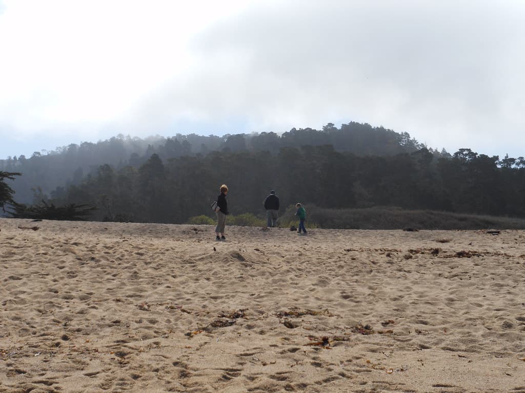 Monastery Beach, Carmel River State Beach, Carmel, California